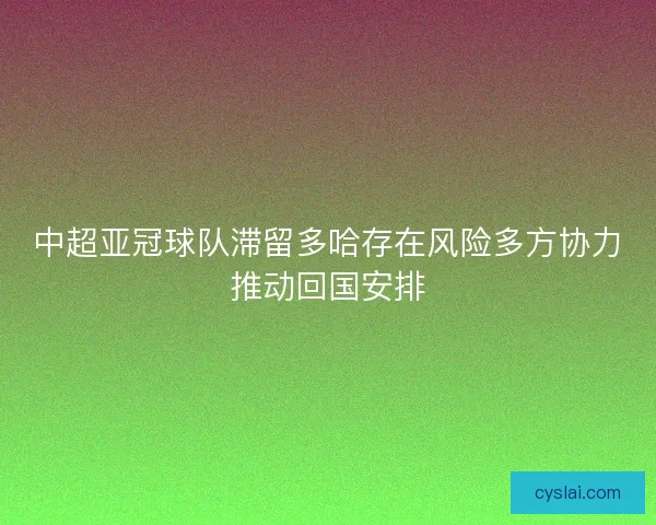 中超亚冠球队滞留多哈存在风险多方协力推动回国安排
