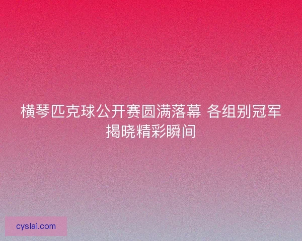 横琴匹克球公开赛圆满落幕 各组别冠军揭晓精彩瞬间