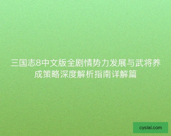 三国志8中文版全剧情势力发展与武将养成策略深度解析指南详解篇